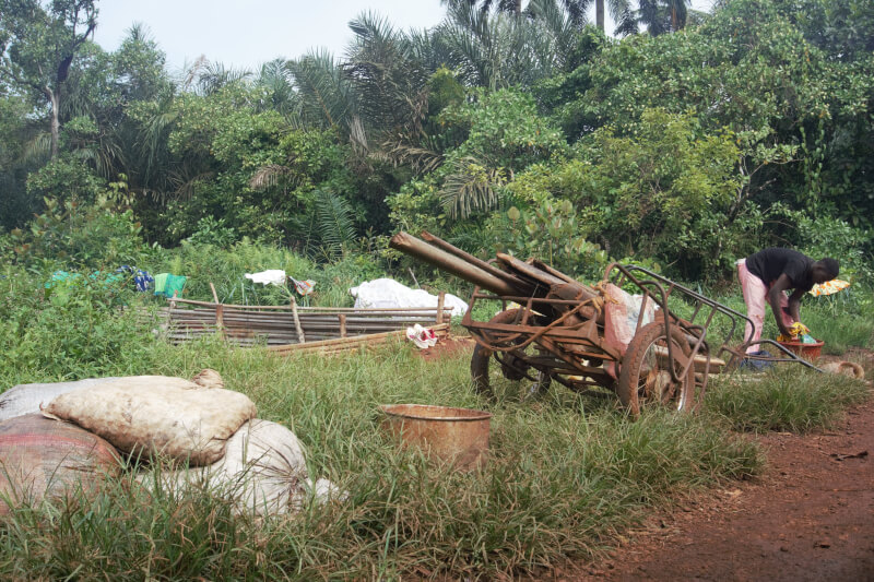 A la rivière, femmes et enfants se retrouvent pour laver le linge. Une charrette en bois est utilisée pour le transport.