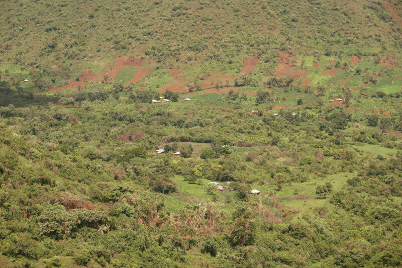 Habitations en Afrique. Montagnes où le peuple pygmé garde les troupeaux de vaches.