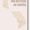 One hectare of Coffee