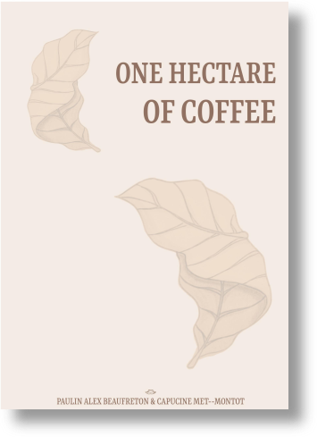 One hectare of Coffee