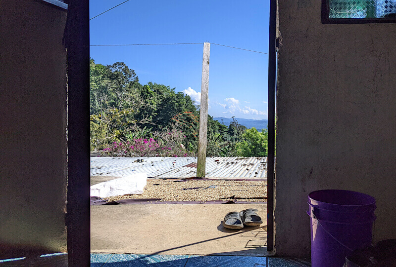 À la saison de la récolte, on voit vite apparaitre du café mis à sécher partout dans les villes et villages. Au pieds des portes,