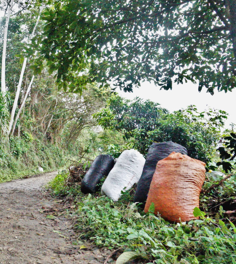 Sacs de 100kg de cerise de café fraichement récoltées, déposées au pied de la route. Ensuite direction la dépulpeuse de la coopérative.