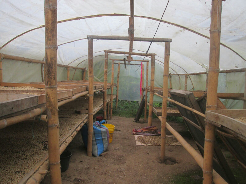 Coffee dryer made from bamboos and plastic