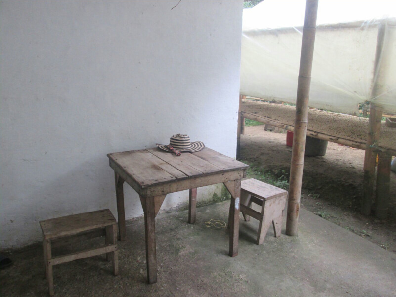 Table and chair made in wood, outside of a coffee producer's home.