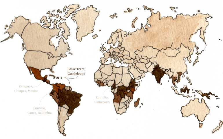 Carte café guadeloupéen